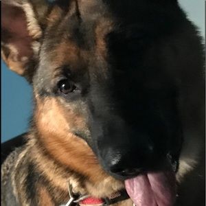 Meet your Posher, Gregory